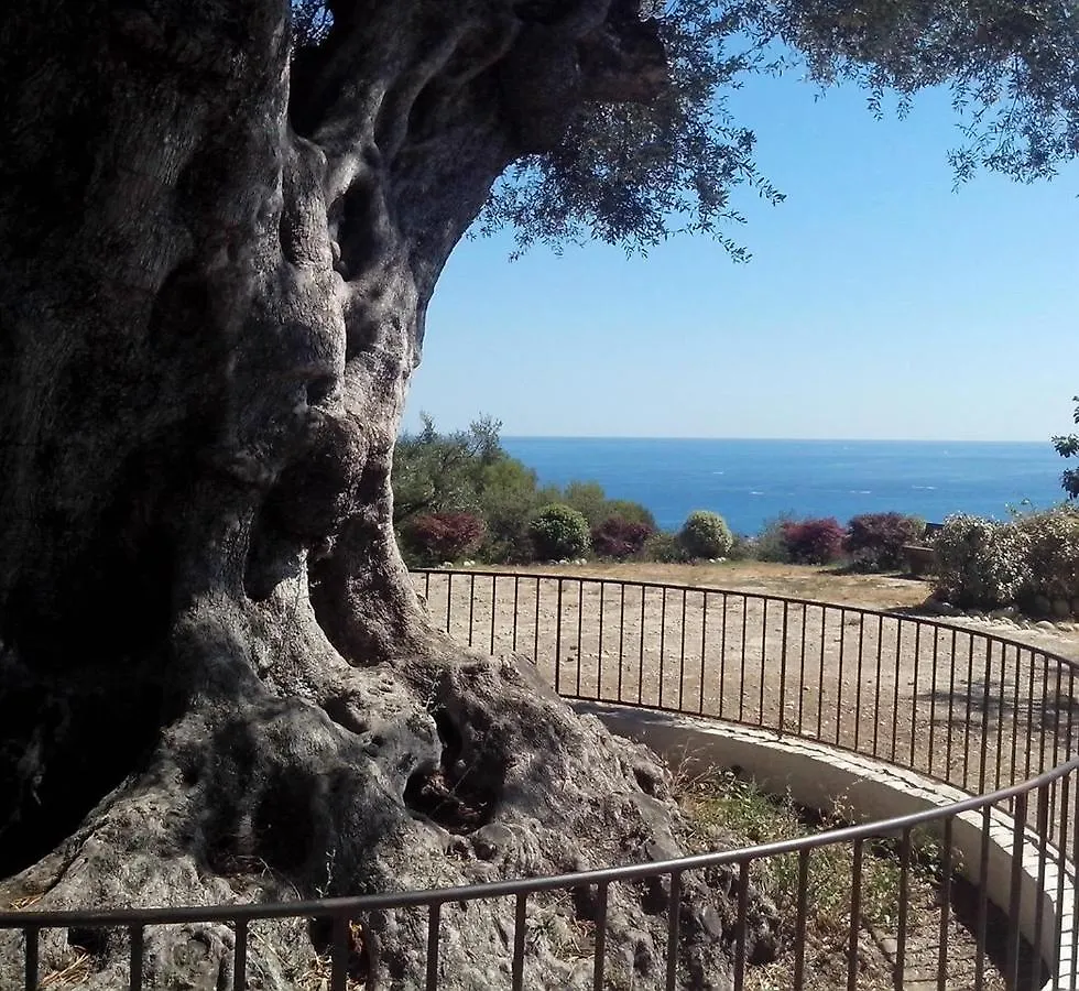 Nice Garden 0*,  France